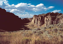 Owyhee Canyon &copy;Linda Monaghan