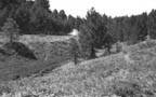 Maverick Point B